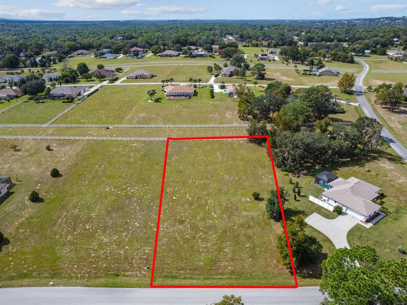 950 N Spend A Buck Dr, Inverness : Inverness : Marion County : Florida