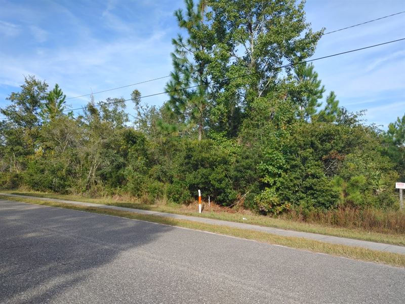 3.73 Acres in Kingsland, GA : Kingsland : Camden County : Georgia