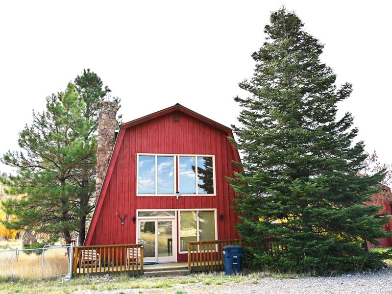 Rio Chama Estates Home : Chama : Rio Arriba County : New Mexico