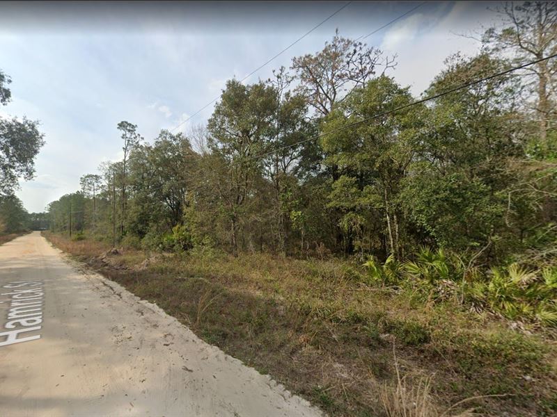 Explore Putnam County : Interlachen : Putnam County : Florida