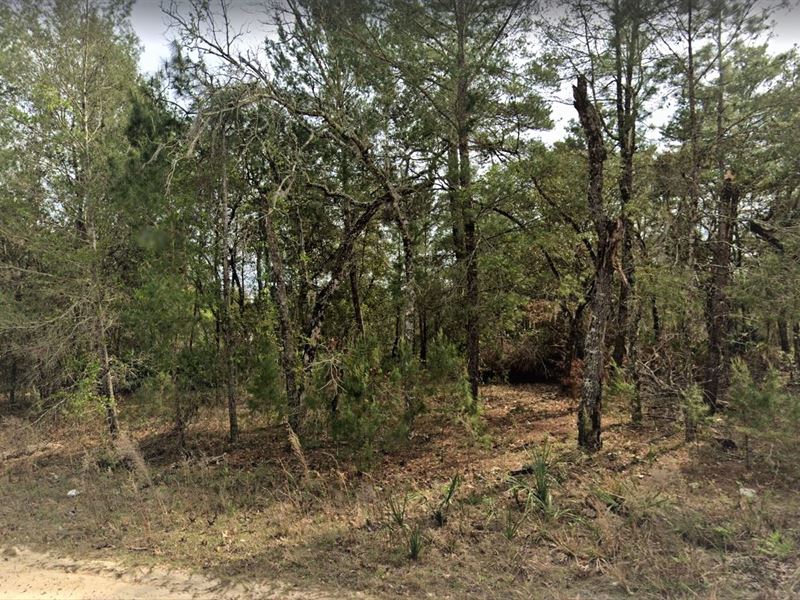 Spectacular 0.22 Acre Florida Lot : Interlachen : Putnam County : Florida
