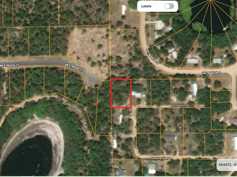 Own UR Future 250 N Mirror Lake Dr : Interlachen : Putnam County : Florida
