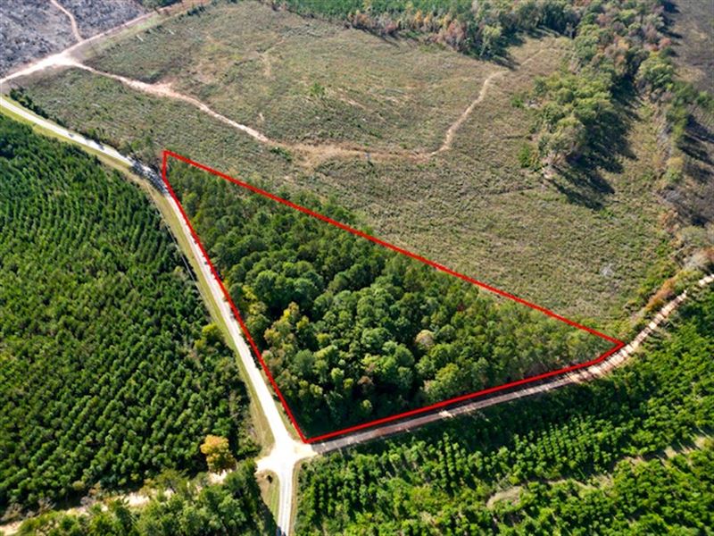 4.28 Unrestricted Acres : Union Point : Taliaferro County : Georgia