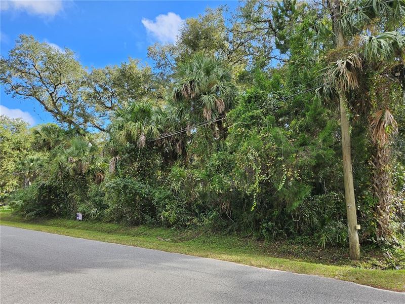 Land for Sale in Orange County, FL : Christmas : Orange County : Florida