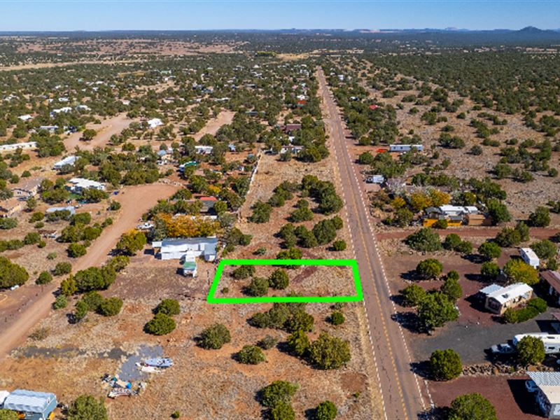 Prime White Mountain Lakes Lot : Show Low : Navajo County : Arizona