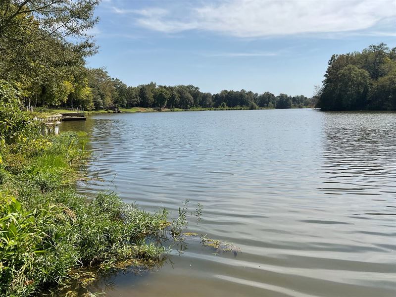 Lot 10 Gainseville Estates, Warsaw : Aliceville : Pickens County : Alabama