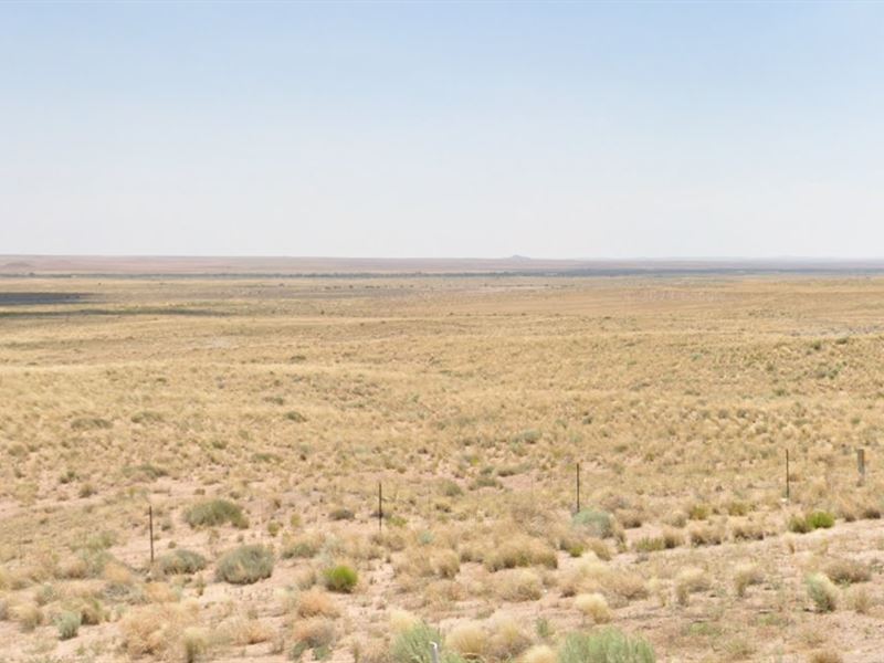 Build, Grow, Prosper, 0.28 Acres : Holbrook : Navajo County : Arizona
