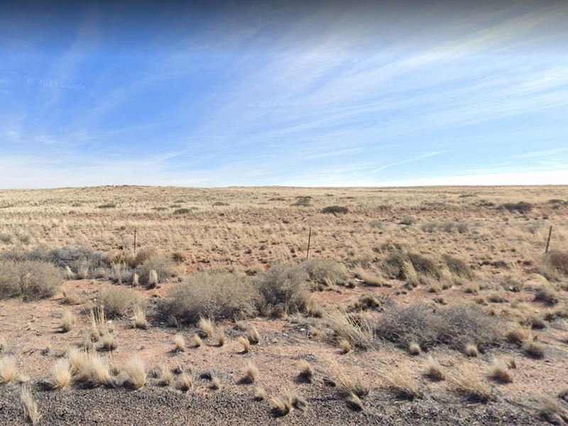 Endless Possibilities Await : Sun Valley : Navajo County : Arizona