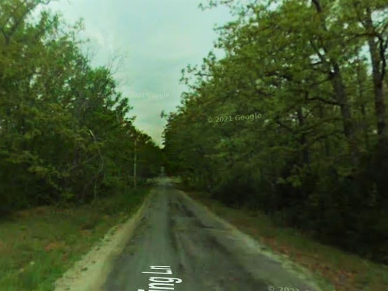 1111 Pleasant Pt, Trailers : Horseshoe Bend : Izard County : Arkansas