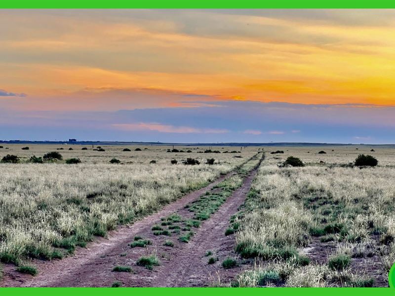 2.5 Acres in Navajo County : Holbrook : Navajo County : Arizona