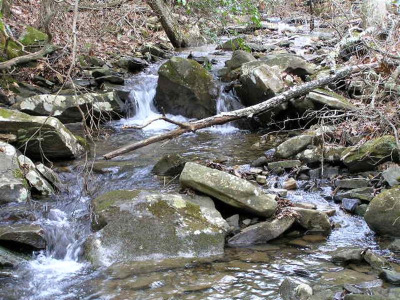 2 Creeks, Bluff Views, Private : Dunlap : Sequatchie County : Tennessee