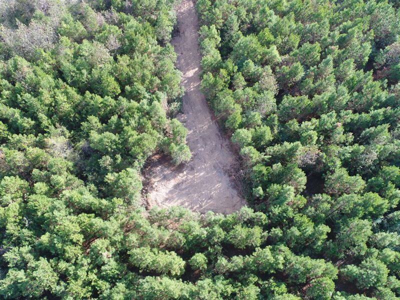 Williamson Road 10 Acre Tract : Honoraville : Crenshaw County : Alabama