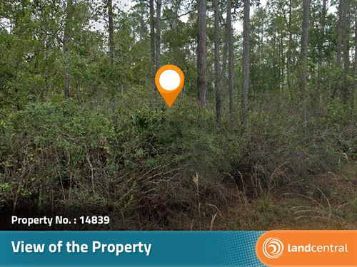 .27 Acre in Putnam County, FL : Putnam Hall : Putnam County : Florida