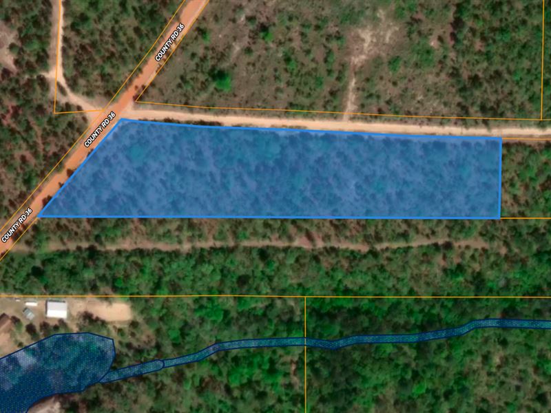 No Subdivision Restrictions : Mauk : Marion County : Georgia