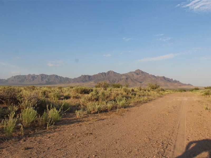 Where Adventure Meets Serenity : Deming : Luna County : New Mexico