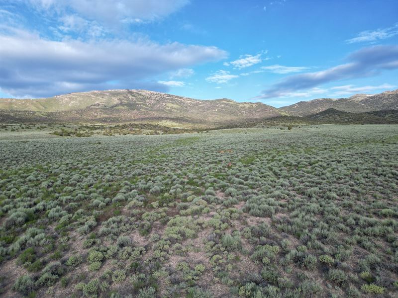 Leave The City for The Summer : Elko : Elko County : Nevada