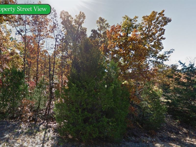 .51 Acre Paradise, Your Slice : Horseshoe Bend : Izard County : Arkansas