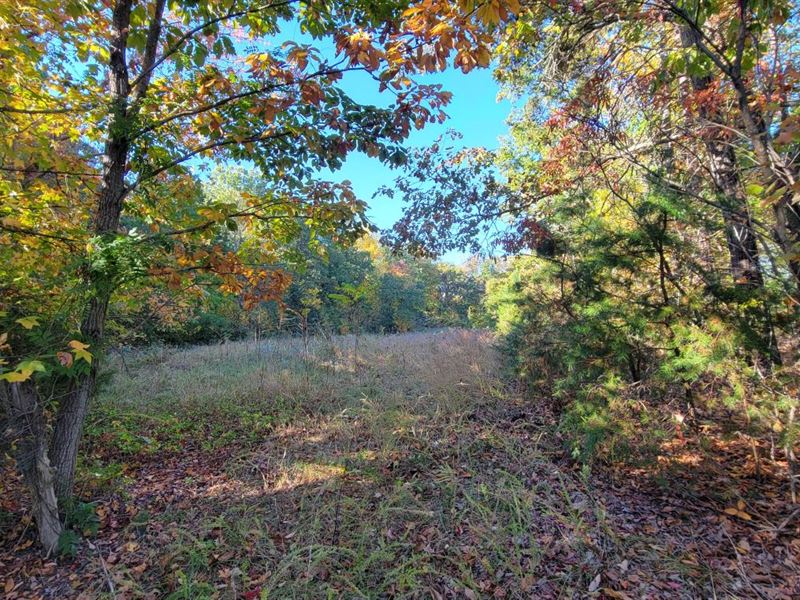 8.12 Acres in Halifax County, VA : Halifax : Halifax County : Virginia