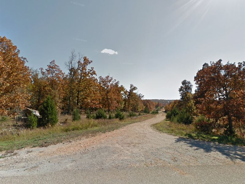Take Your Family to The Lake $75/Mo : Horseshoe Bend : Izard County : Arkansas