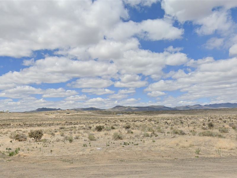 A 2.27 Acre Gem in Elko County, NV : Elko : Elko County : Nevada