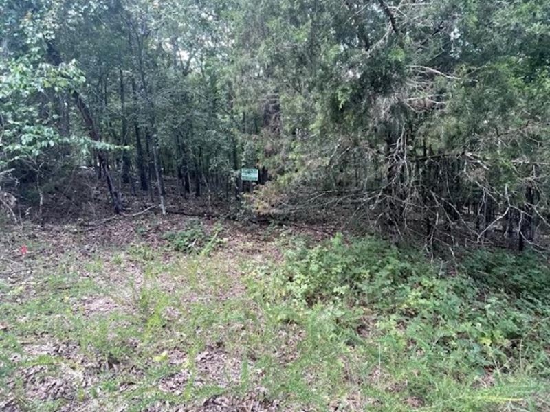 Mtn Home 6500 Sqft no Zoning Lot : Mountain Home : Baxter County : Arkansas
