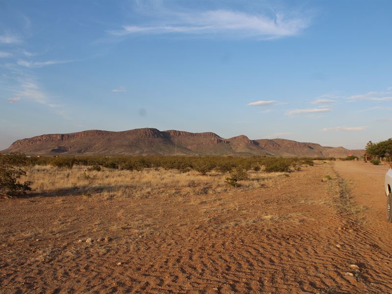 Brilliantly Flexible 1.5 Acre in NM : Deming : Luna County : New Mexico