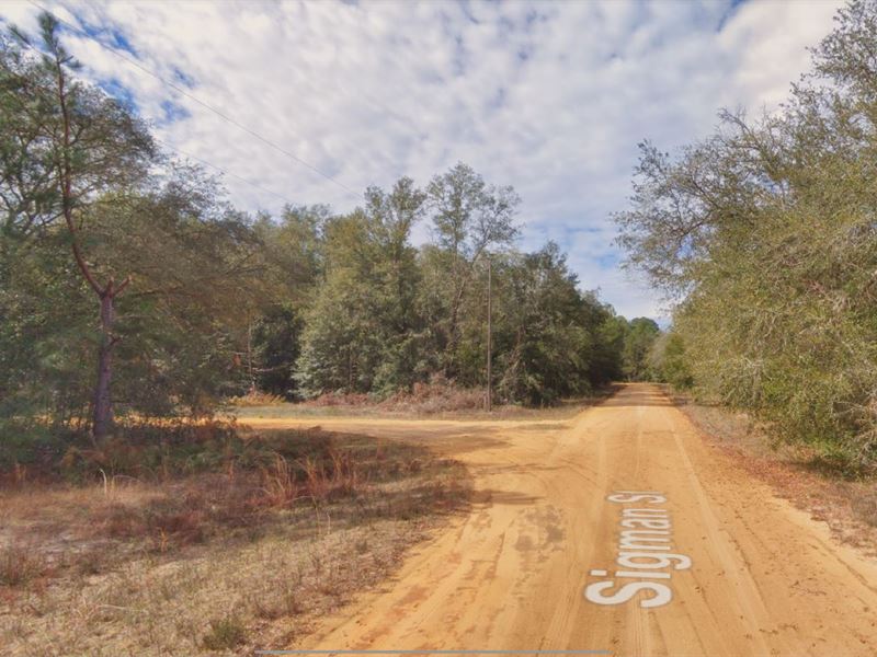 Home Site or Mobile Homes : Interlachen : Putnam County : Florida