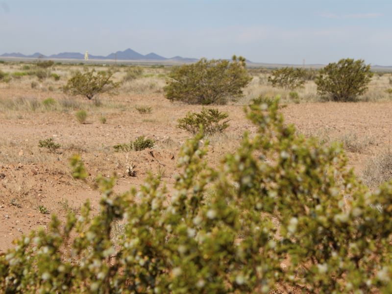 Enviable 4.9 Buildable Acres in NM : Deming : Luna County : New Mexico