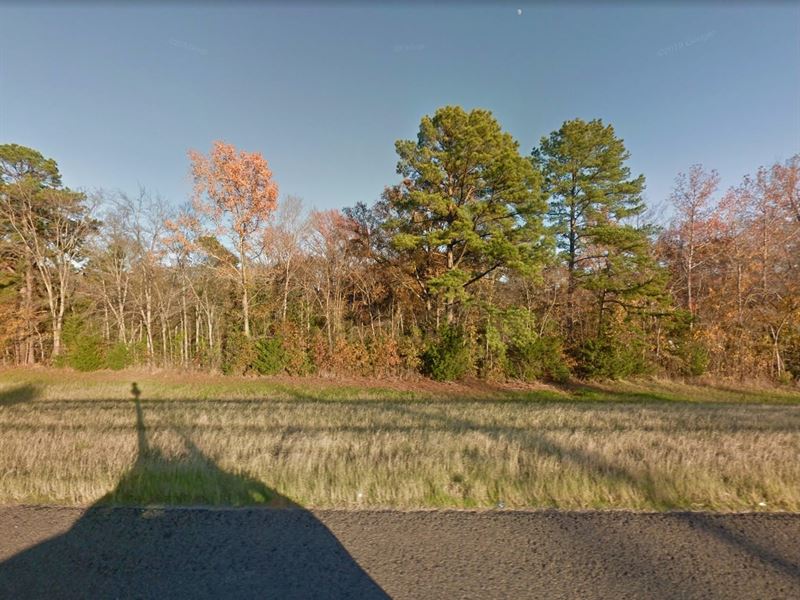 .13 Acre in Frankston, $200/Month : Frankston : Henderson County : Texas