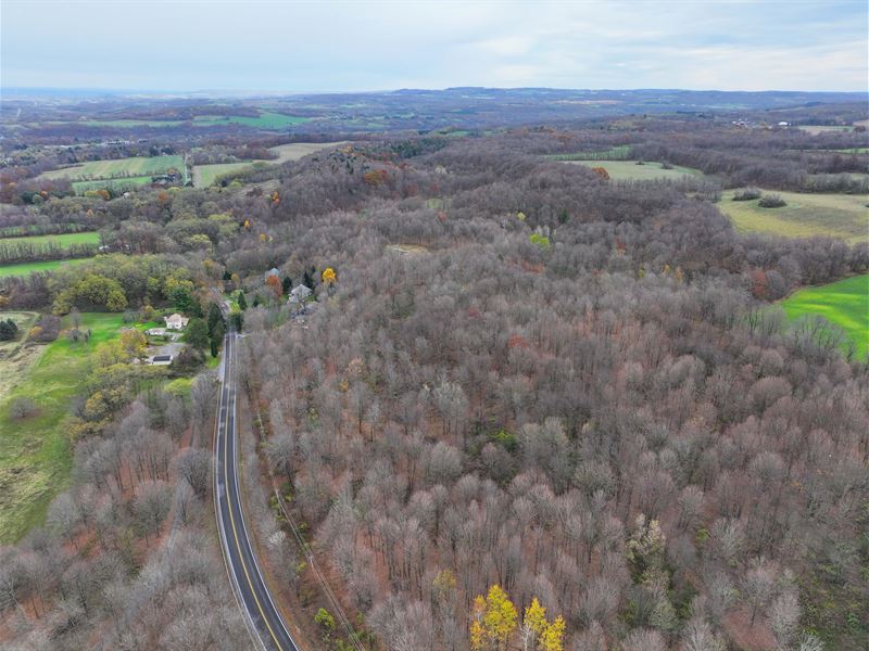 Unique Features with Seclusion : Sullivan : Madison County : New York