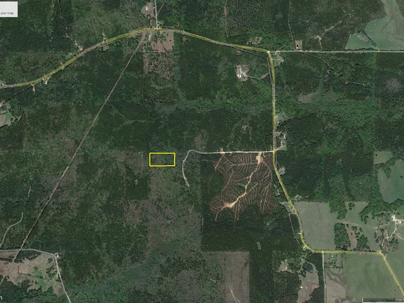 5 Acres in Madison County, MS : Camden : Madison County : Mississippi