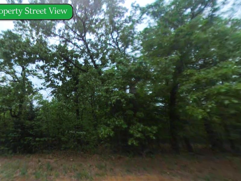 .53 Acre Texas Retreat : Horseshoe Bend : Izard County : Arkansas