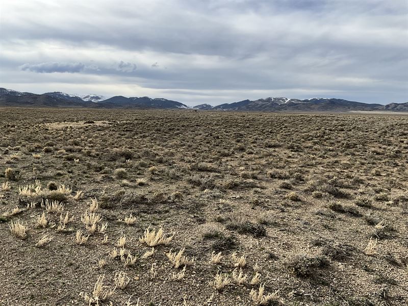 Future Luck on 2.1 Ac, Elko County : Elko : Elko County : Nevada