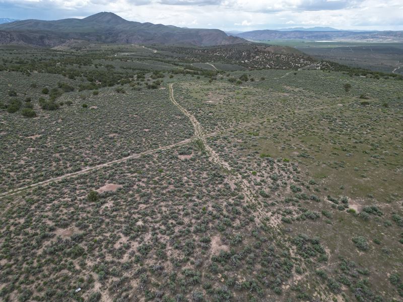 Your Elko County Gem Awaits You : Elko : Elko County : Nevada