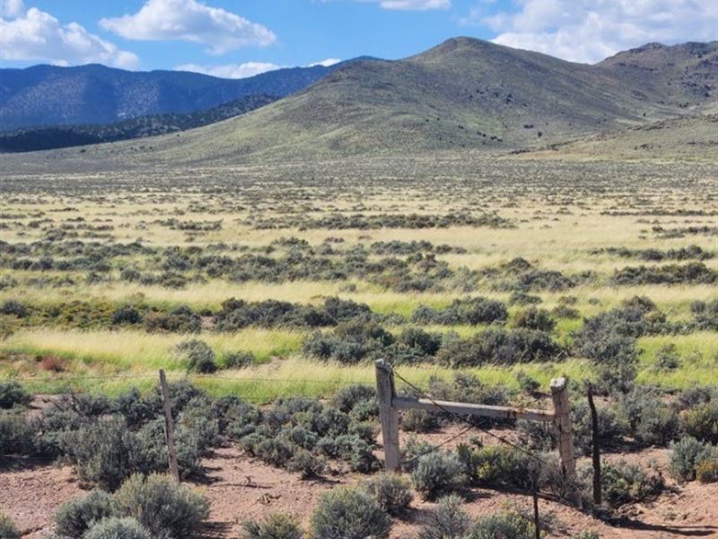 Your 2.18 Acres of Desert Paradise : Beryl Junction : Iron County : Utah