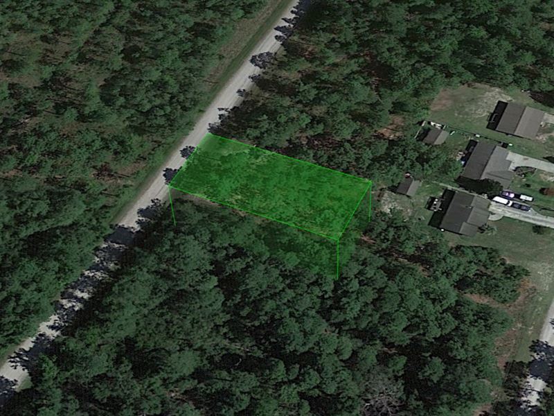 NC Land, 0.24 Ac Brunswick County : Winnabow : Brunswick County : North Carolina