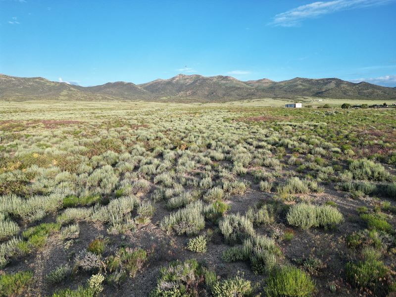 2.1 Ac in Elko County, $99/Month : Elko : Elko County : Nevada