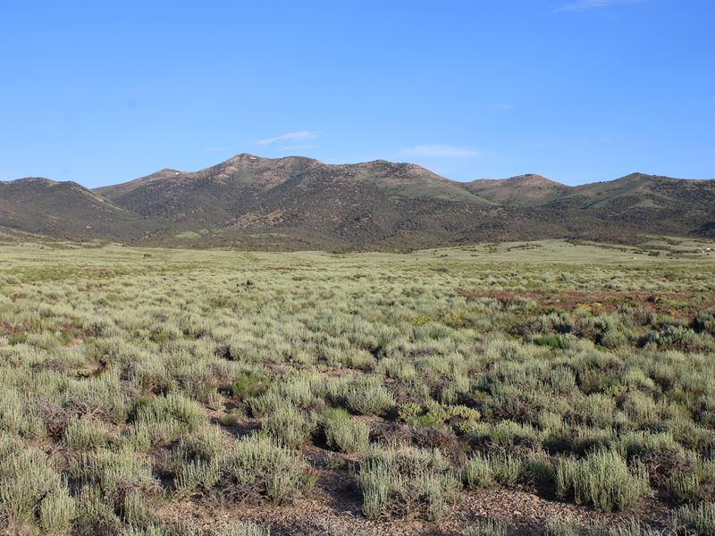 Your City Escape for $99 : Elko : Elko County : Nevada