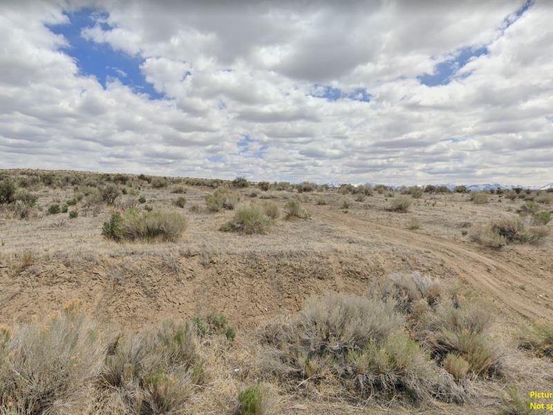 Top Location, Low Price : Elko : Elko County : Nevada
