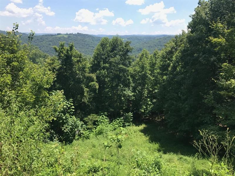 Lone Mountain Shores : New Tazewell : Claiborne County : Tennessee