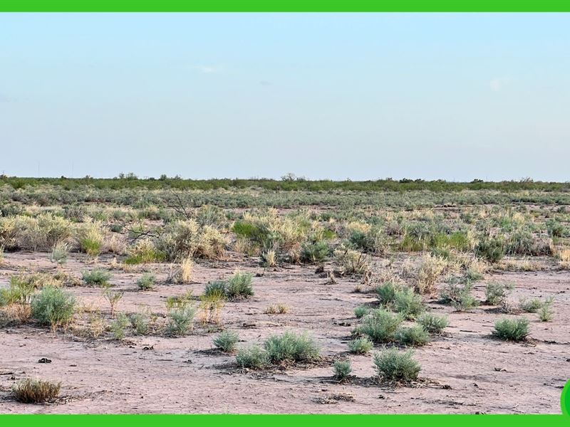 5.10 Acres in Ward County, TX : Monahans : Ward County : Texas