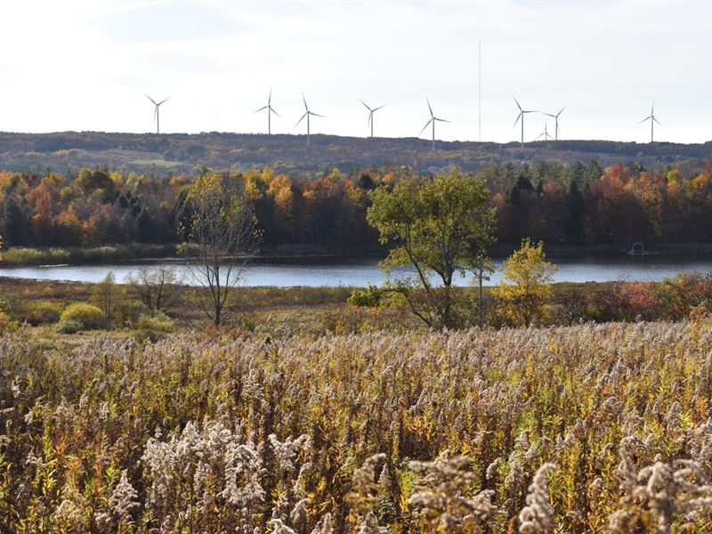 Marvelous West Mud Lake : Forestville : Chautauqua County : New York