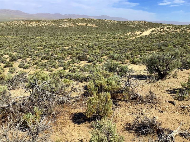 2.06 Acres for Future Retirement : Ryndon : Elko County : Nevada