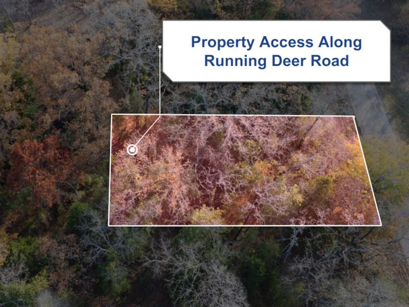 .1 Acre in Mabank, Tx, Boat Ramp : Mabank : Henderson County : Texas
