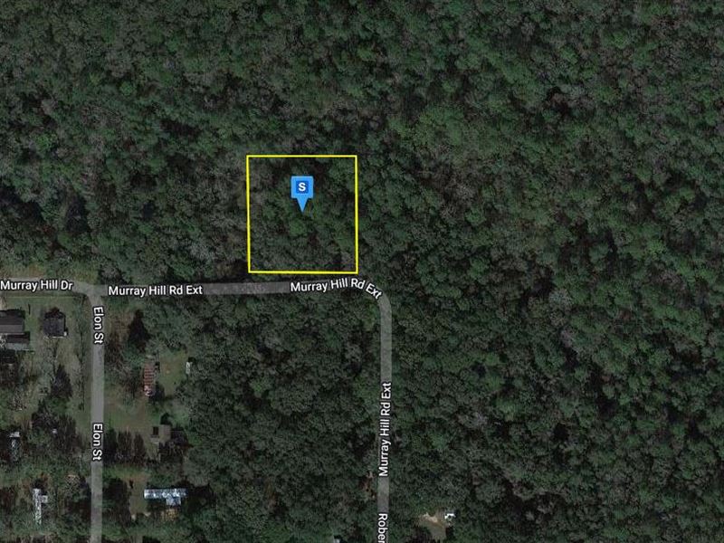 .99 Acre in Mobile County, AL : Irvington : Mobile County : Alabama