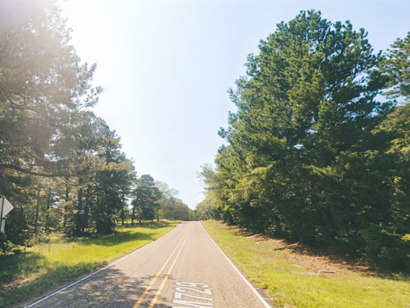 Land By The Lake in Marion County : Avinger : Marion County : Texas