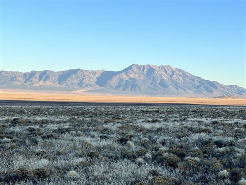 Enjoy 2.27 Acres Of Farm Life : Montello : Elko County : Nevada