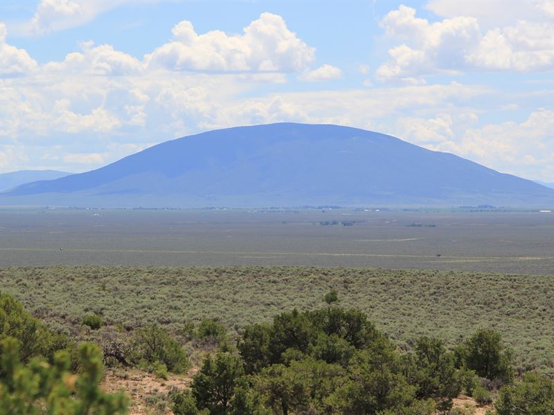 The Great Escape, Costilla County : San Luis : Costilla County : Colorado
