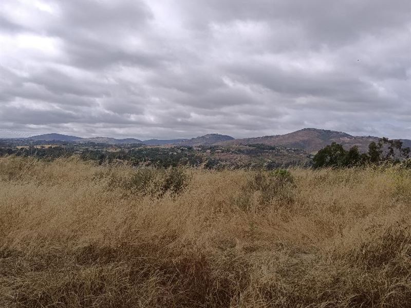 For Lease, Flat Vacant 10 Acres : San Diego : San Diego County : California