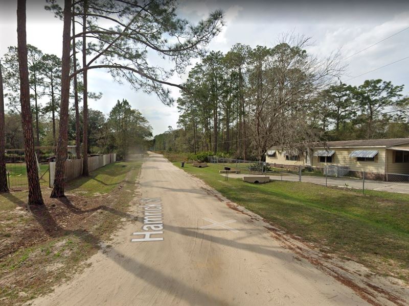 Ideal Dream Home in Putnam County : Interlachen : Putnam County : Florida